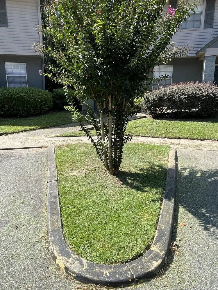 Affordable landscape design for outdoor upgrades across Havana, FL - Major Roots