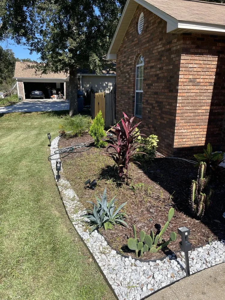 Trusted lawn care service in Havana, FL by Major Roots