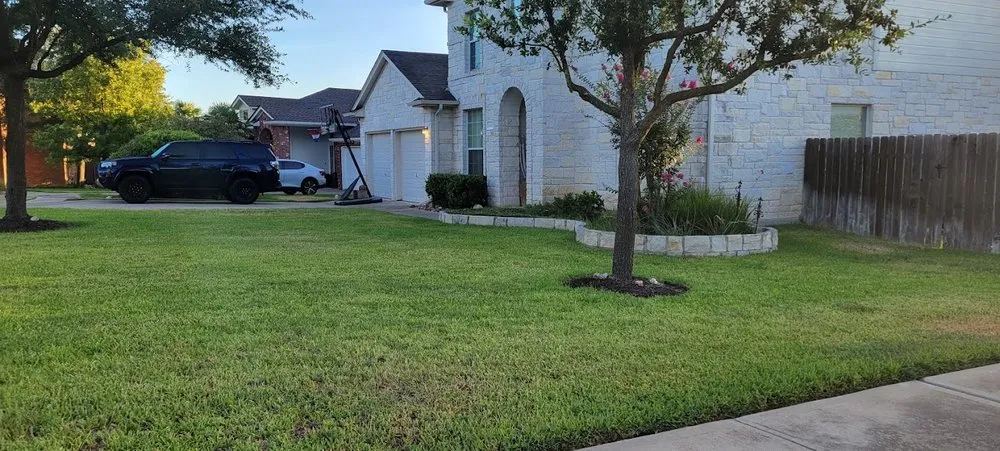 Professional lawn care service in Hutto, TX by Major Services