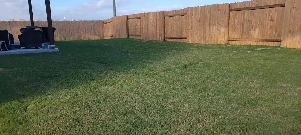 Local landscape design for beautiful yards across Hutto, TX - Major Services