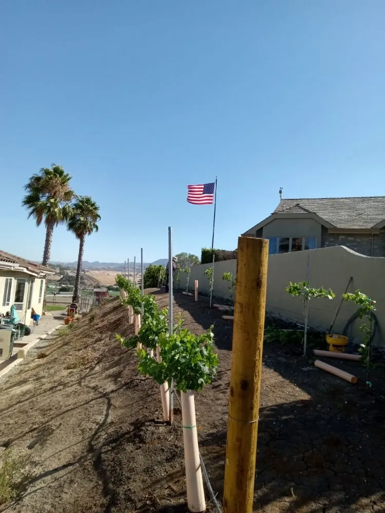 Top-rated garden landscaping near you in TRACY, CA by Majors Concrete And Landscape