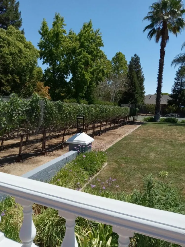 Local lawn care service in TRACY, CA - Majors Concrete And Landscape