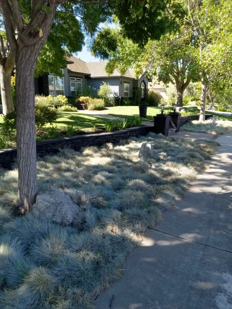 Reliable garden landscaping in TRACY, CA - Majors Concrete And Landscape