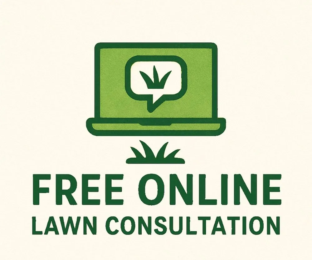 Custom lawn care service near you in Mesquite, TX by Majure Mowing
