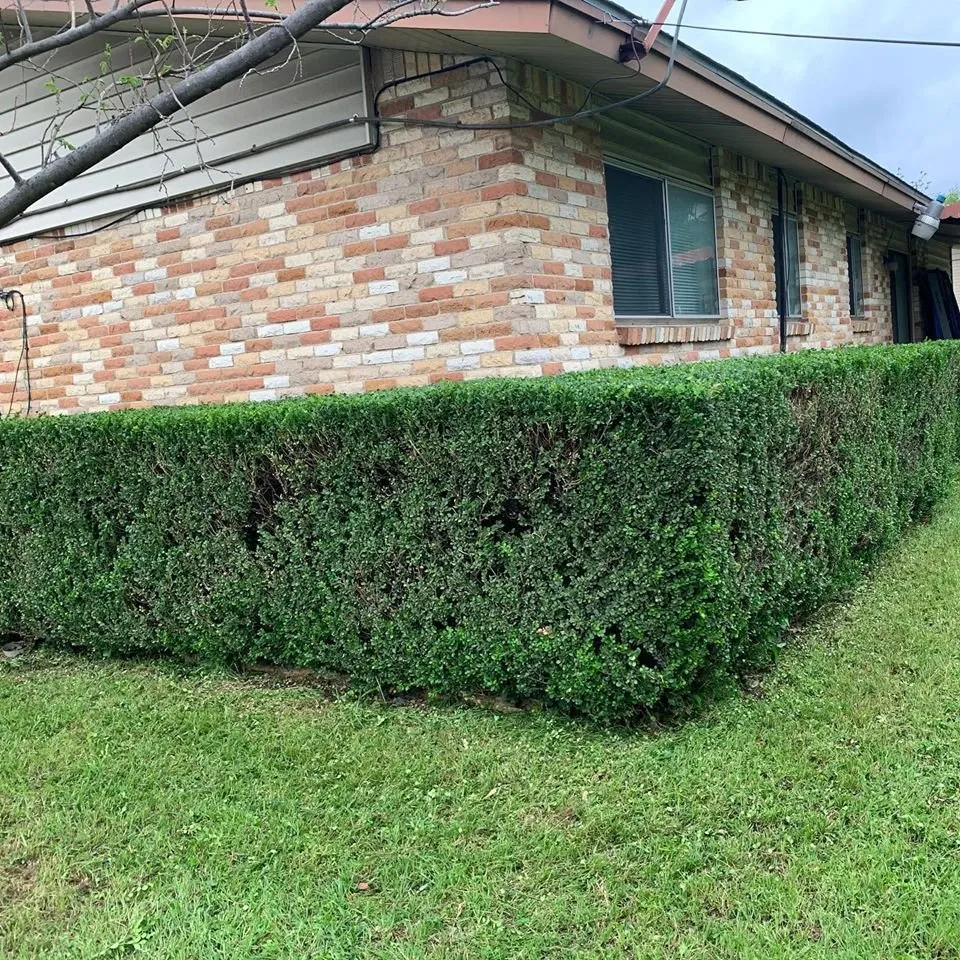 Local yard maintenance in Dallas, TX by MAK Home Solutions