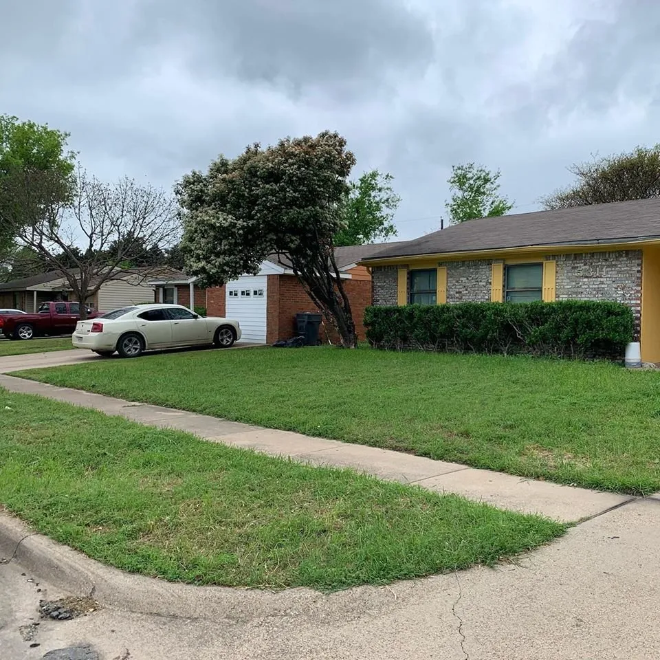 Reliable yard cleanup service experts serving Dallas, TX - MAK Home Solutions