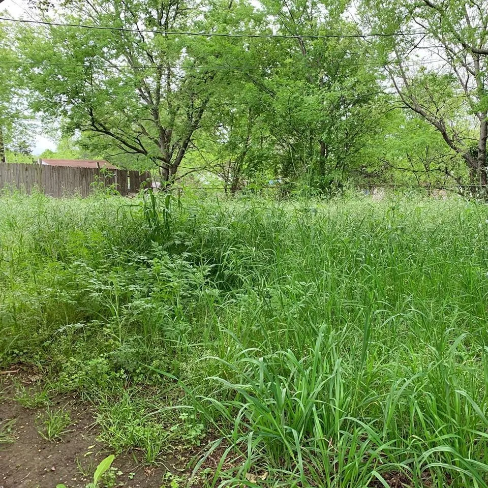 Reliable lawn care service in Dallas, TX - MAK Home Solutions