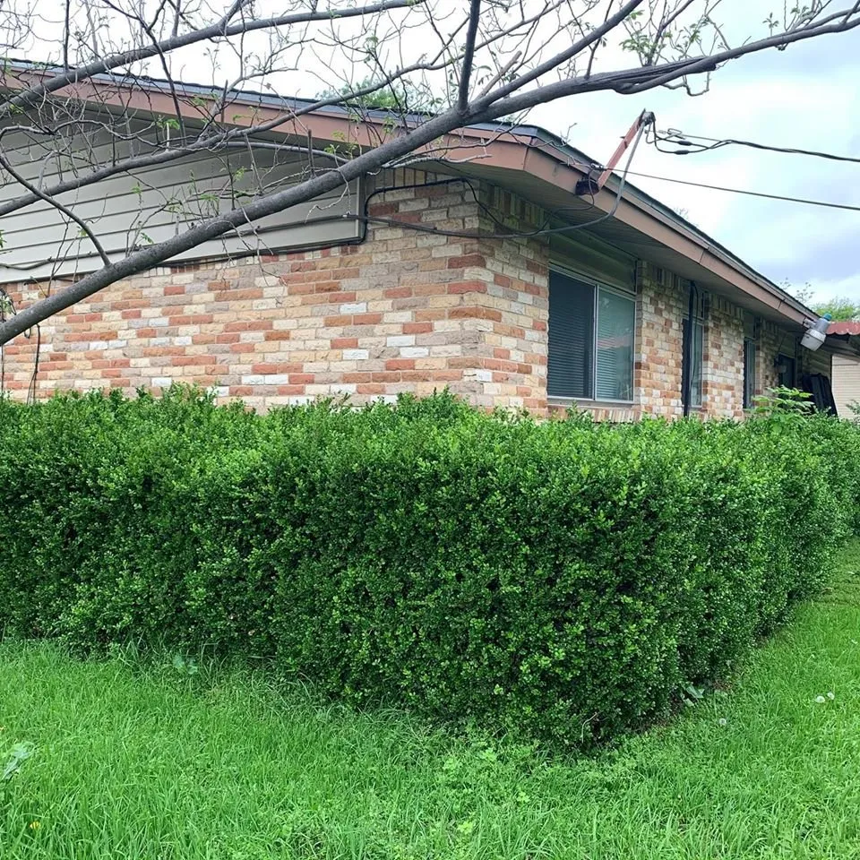 Top-rated landscape design near you across Dallas, TX - MAK Home Solutions