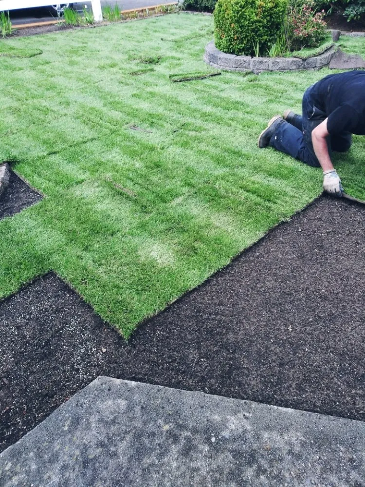 Professional landscape design for beautiful yards across Edmonds, WA - MAK Landscaping