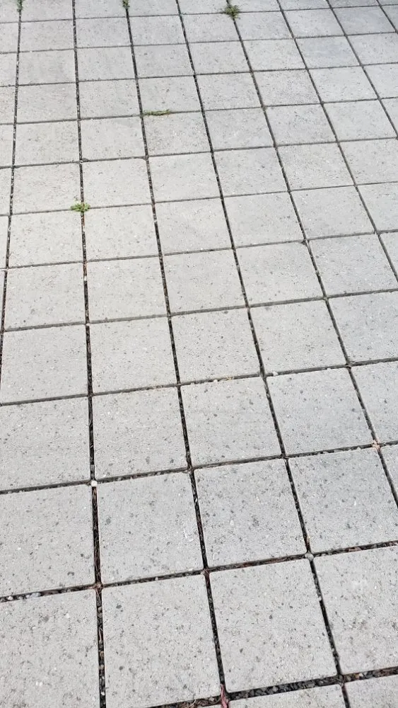 Professional outdoor landscaping in Edmonds, WA - MAK Landscaping