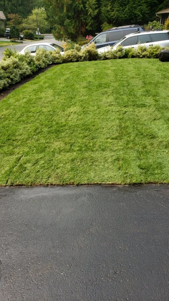 Top-rated landscape installation experts serving Edmonds, WA - MAK Landscaping