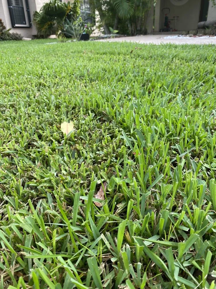 Trusted landscape installation in Pompano Beach, FL - MAK Landscaping