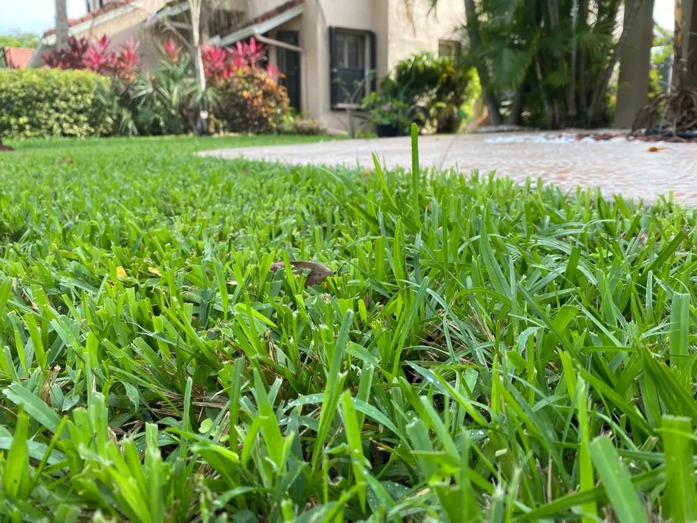 Professional landscape installation near you in Pompano Beach, FL by MAK Landscaping