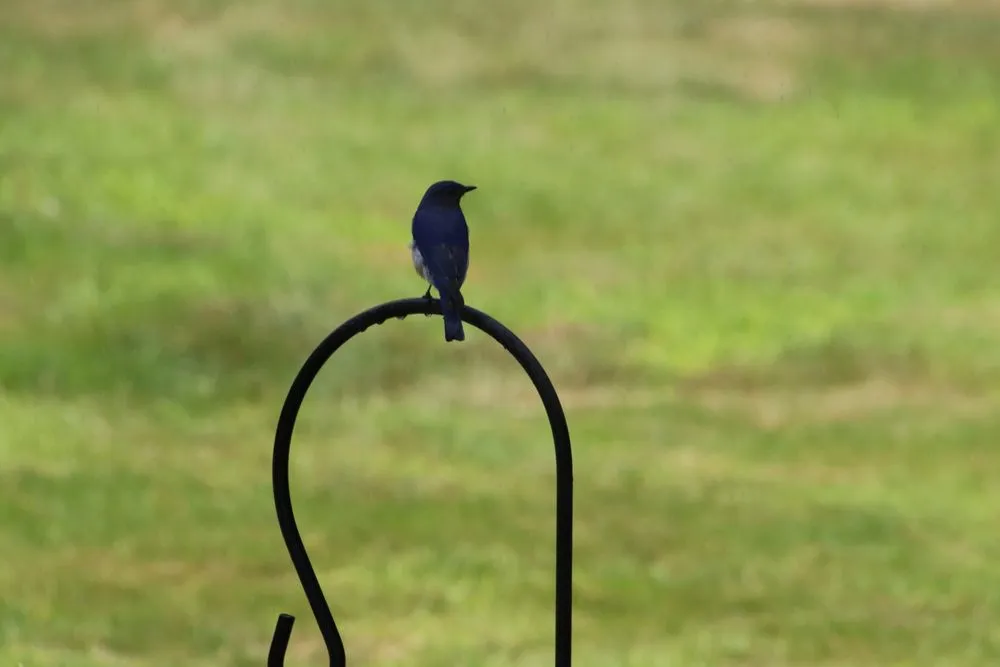 Expert landscaping services experts serving New Durham, NH - MAK Whacking And Mowing