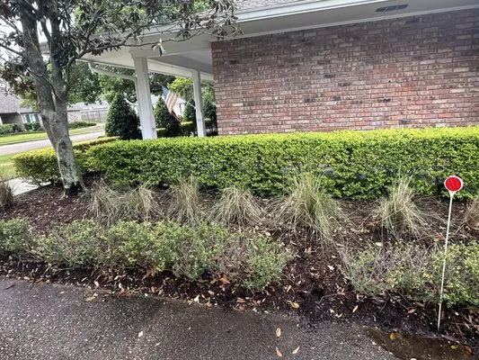 Makaira Landscape Logo