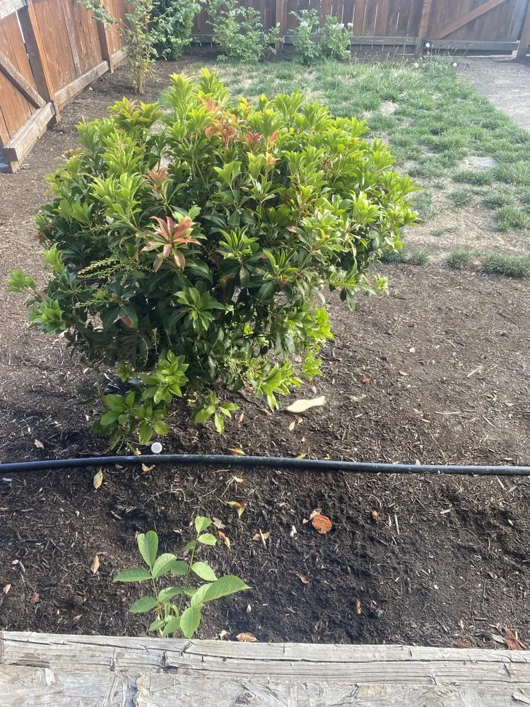 Trusted residential landscaping in Salem, OR - Make It Green Yard Maintenance