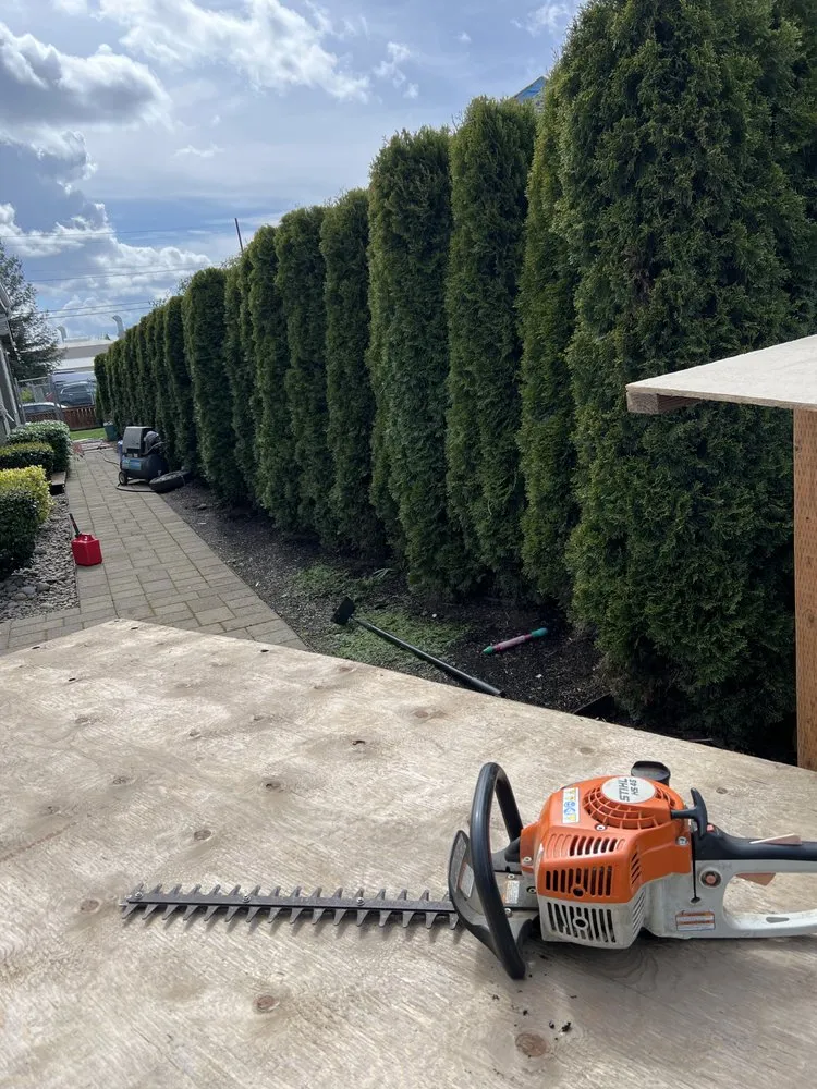 Expert yard cleanup service in Salem, OR by Make It Green Yard Maintenance