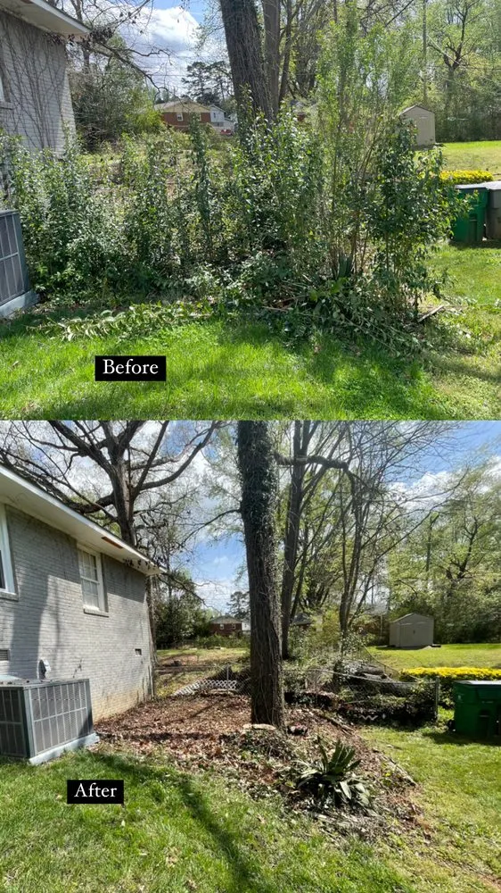 Local yard cleanup service in Charlotte, NC by Make it Happen Squad