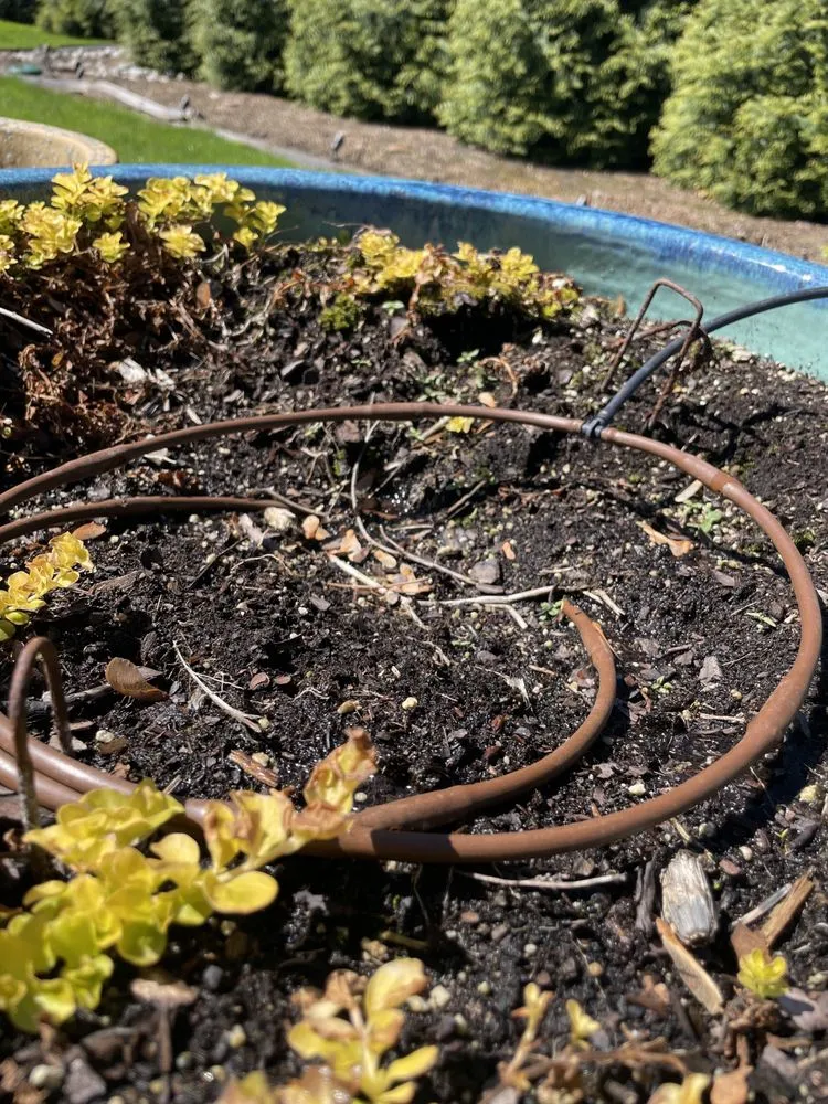 Trusted lawn care service in Philadelphia, PA - Make It Rain Irrigation