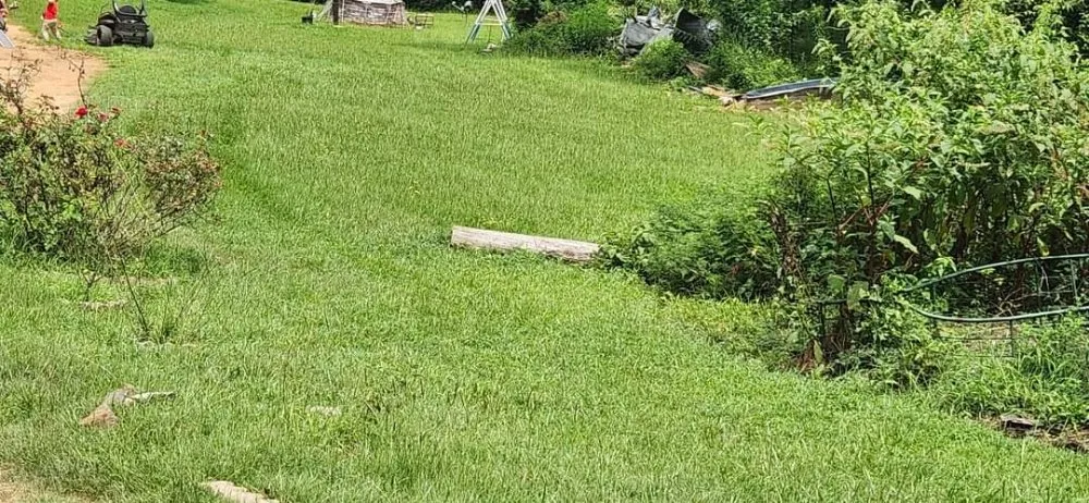 Affordable landscape design experts serving West Monroe, LA - Make The Cut Lawn Care