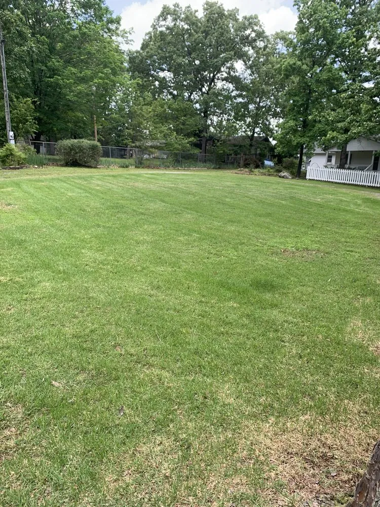 Expert yard cleanup service in Clinton, AR - Make The Cut Lawncare