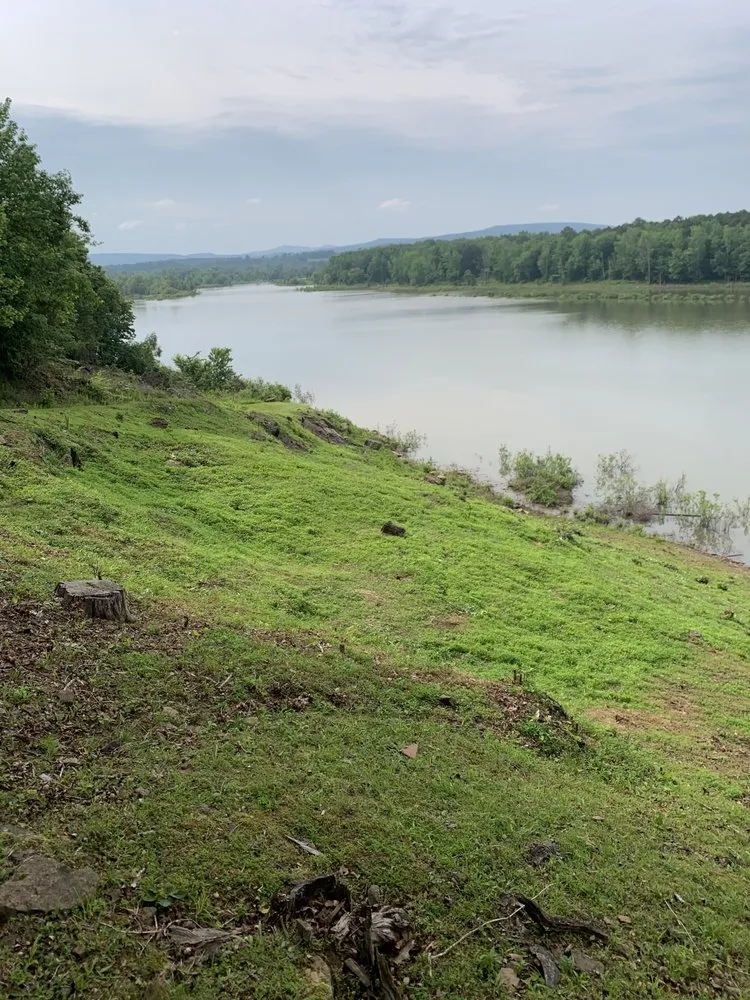 Professional residential landscaping in Clinton, AR by Make The Cut Lawncare