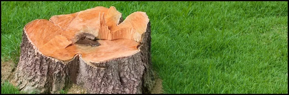 Professional landscape installation experts serving Sylvania, OH - Make your Mark