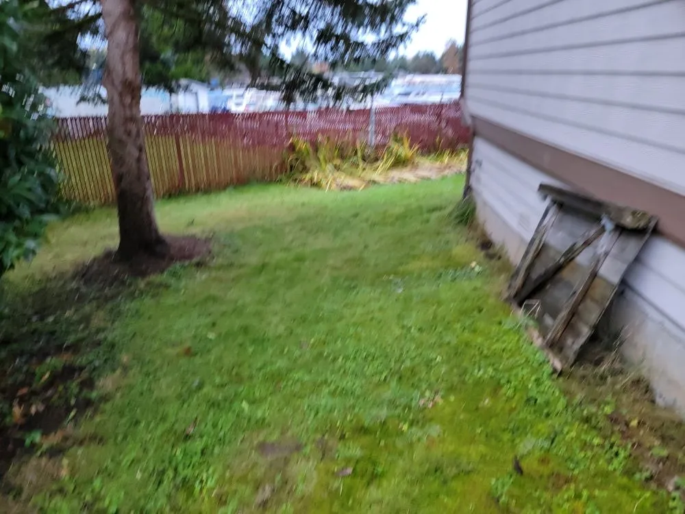 Reliable residential landscaping in lynnwood, WA by Makeover Landscape and Construction