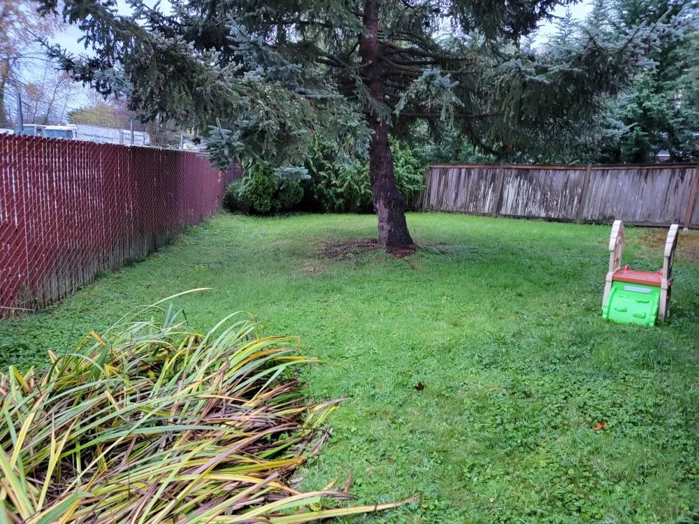 Professional lawn mowing service experts serving lynnwood, WA - Makeover Landscape and Construction