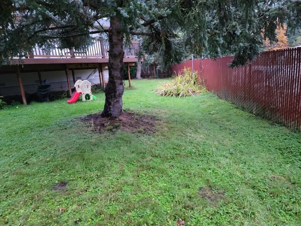 Custom lawn care service for homes across lynnwood, WA - Makeover Landscape and Construction