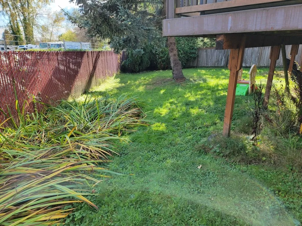 Top-rated landscape design for year-round maintenance across lynnwood, WA - Makeover Landscape and Construction