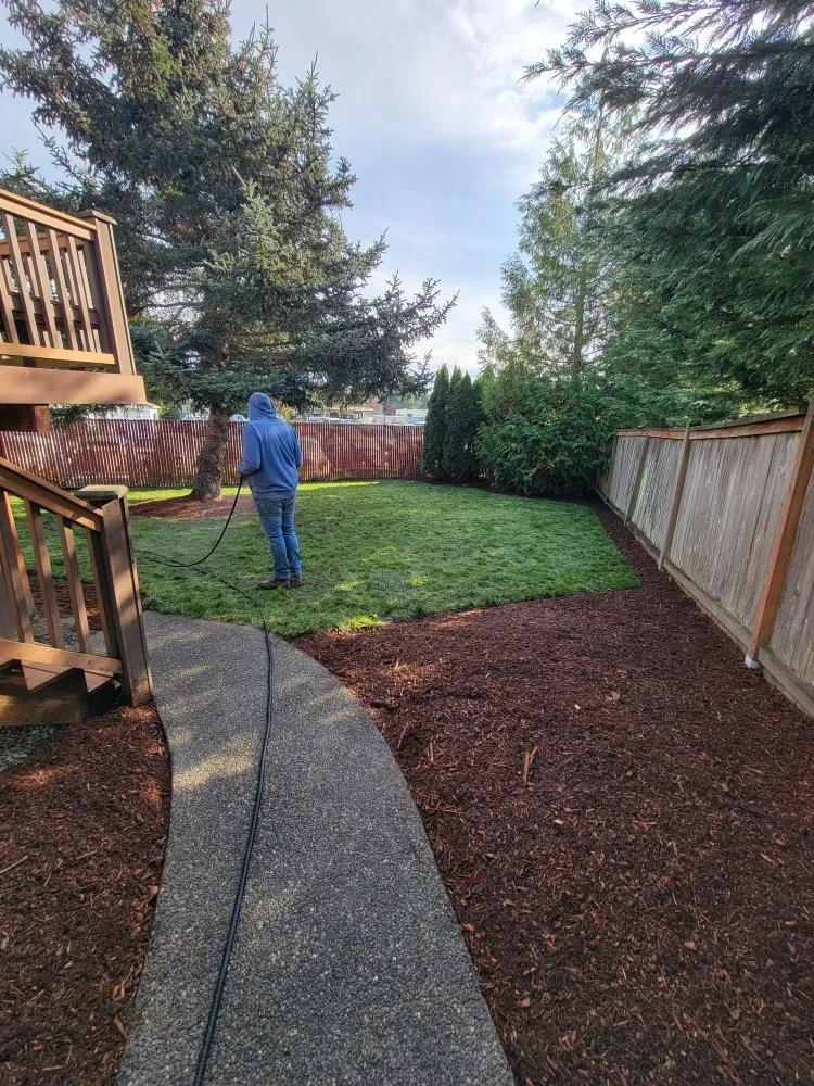 Custom yard maintenance in lynnwood, WA by Makeover Landscape and Construction