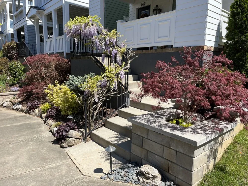 Reliable yard cleanup service experts serving Harrisburg, NC - Makeover My Yard