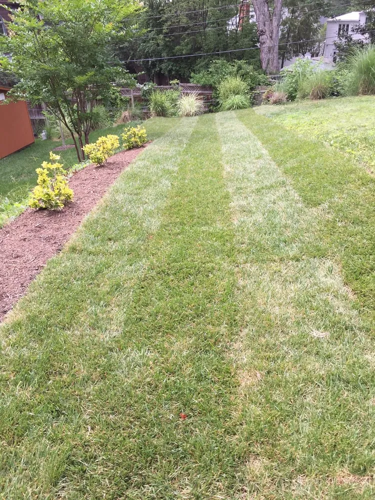 Expert landscaping services in Gaithersburg, MD by Makimanta Landscaping Services