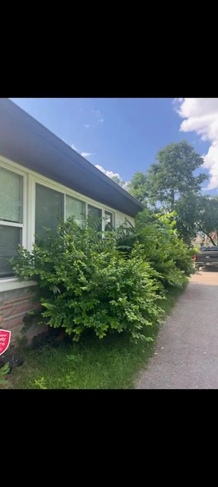 Expert yard maintenance in Wayne, MI by Makin Statements Lawn Care