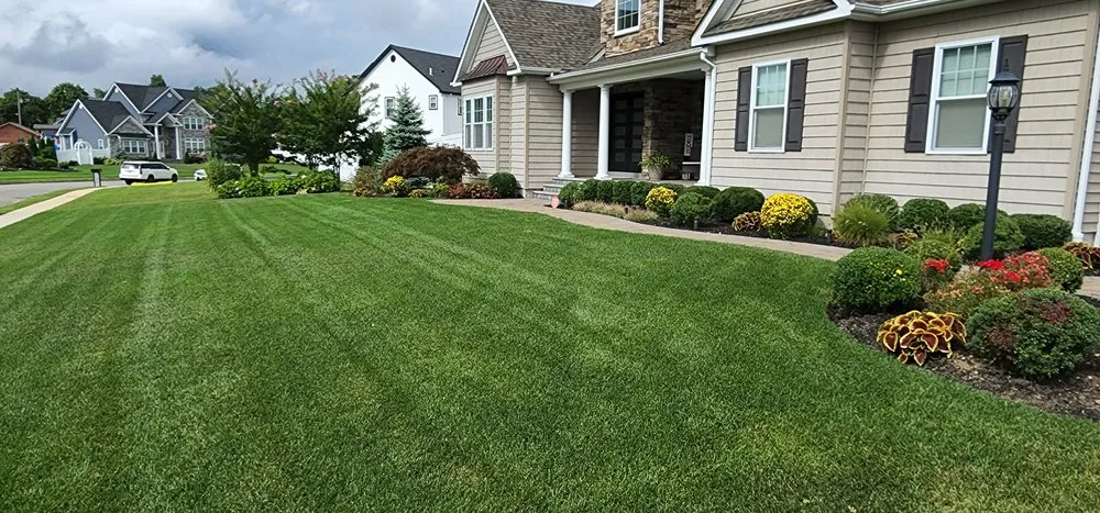 Affordable outdoor landscaping in Coram, NY by Making Solid Ground Lawn Care