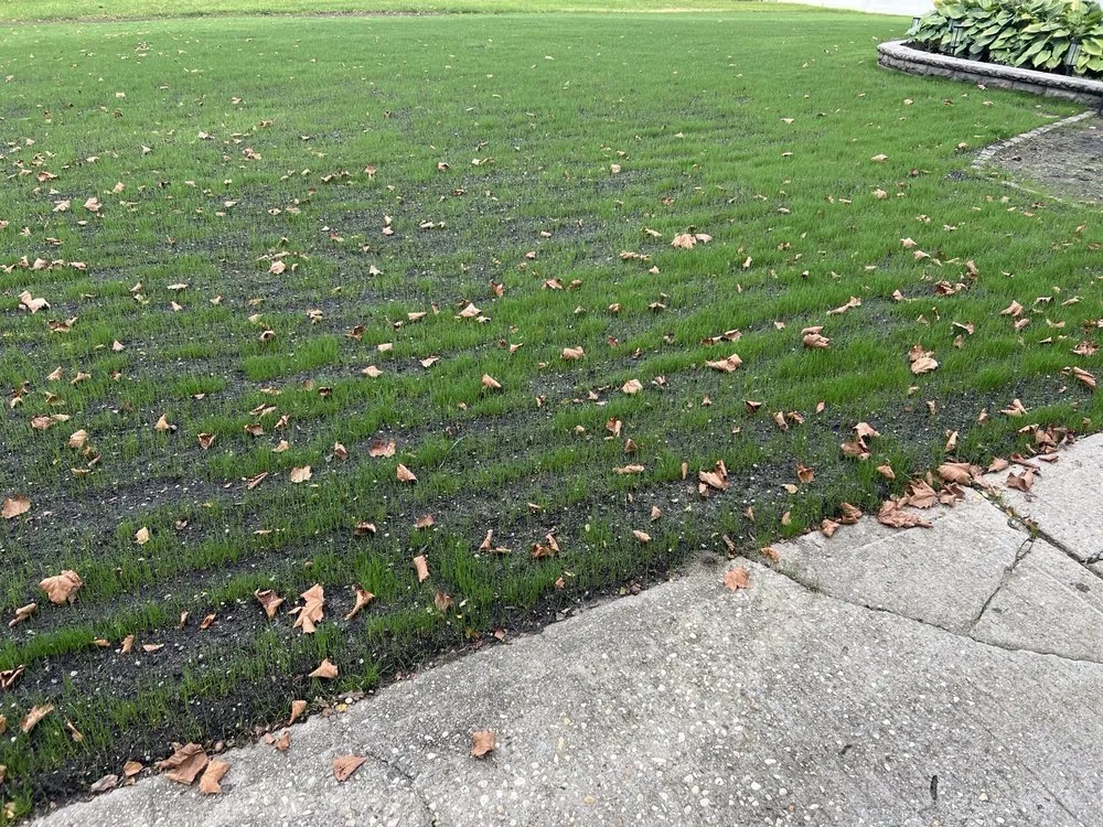 Local lawn care service experts serving Coram, NY - Making Solid Ground Lawn Care