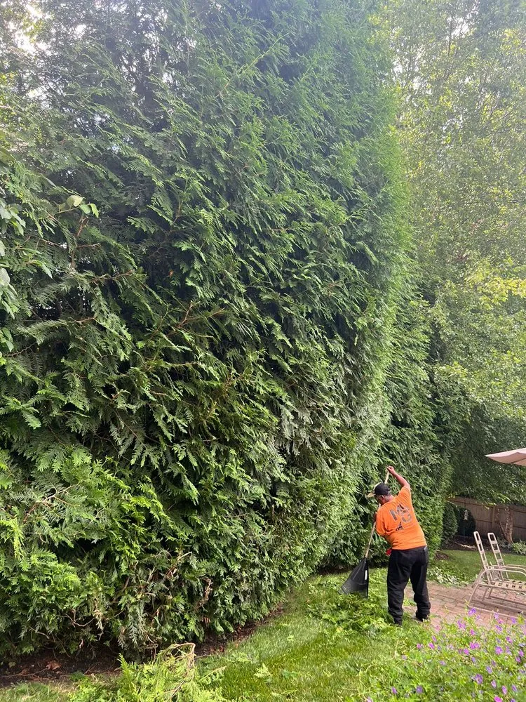 Affordable landscape design experts serving Coram, NY - Making Solid Ground Lawn Care