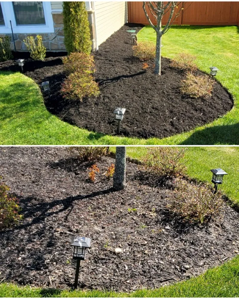 Professional outdoor landscaping in Coram, NY - Making Solid Ground Lawn Care