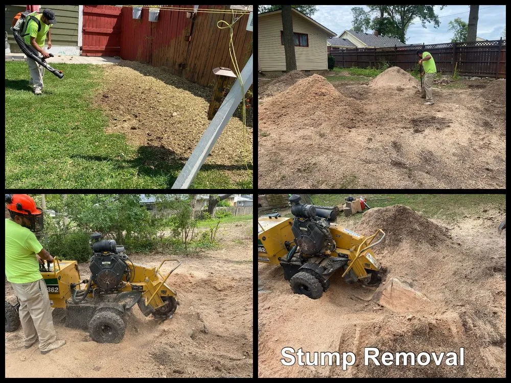 Expert lawn care service experts serving Fort Wayne, IN - Making The Cut