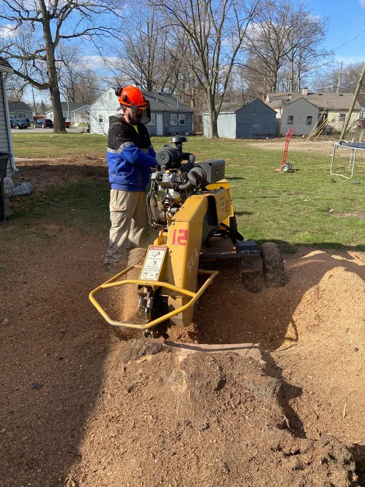 Top-rated landscaping services in Fort Wayne, IN by Making The Cut