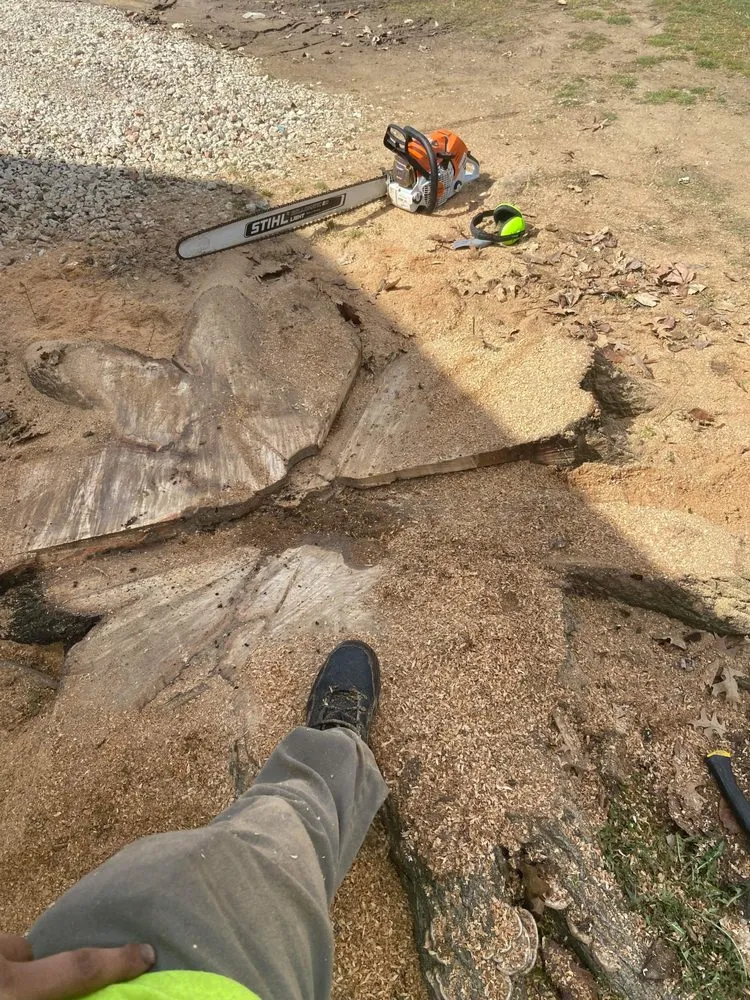 Expert residential landscaping in Fort Wayne, IN - Making The Cut