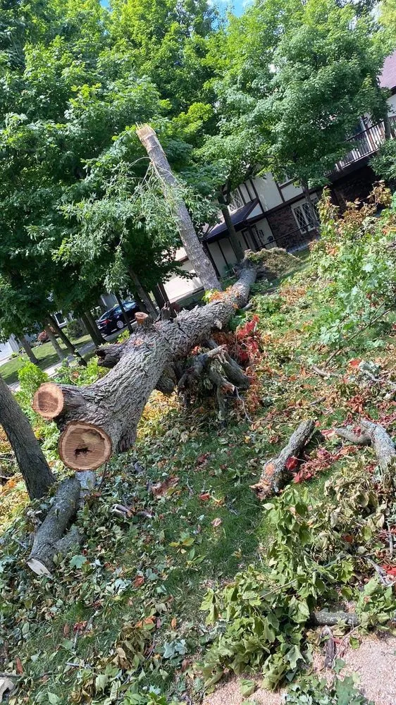 Local landscape design experts serving Fort Wayne, IN - Making The Cut