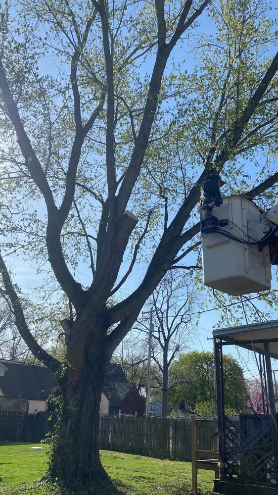 Top-rated landscape design experts serving Fort Wayne, IN - Making The Cut