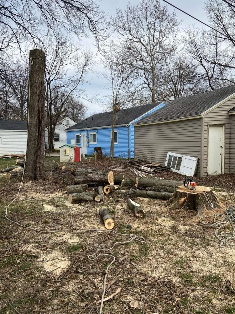 Professional yard maintenance in Fort Wayne, IN - Making The Cut