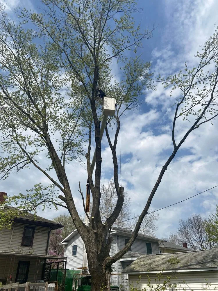 Top-rated lawn mowing service for beautiful yards in Fort Wayne, IN by Making The Cut