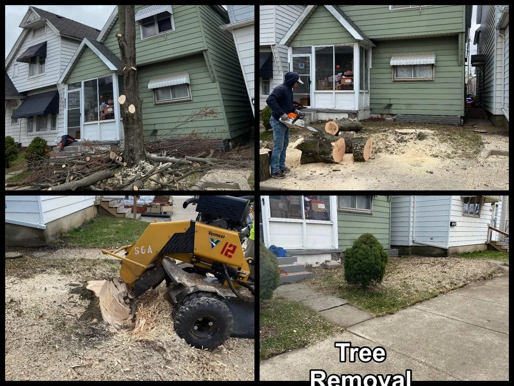 Local landscape design experts serving Fort Wayne, IN - Making The Cut