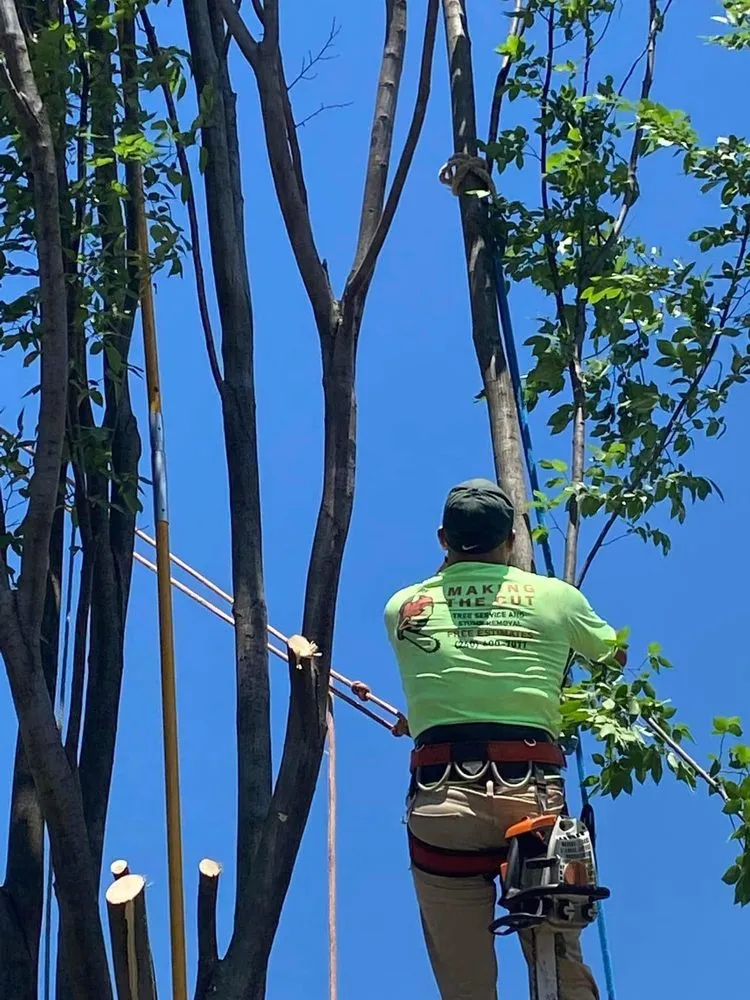 Custom yard maintenance in Fort Wayne, IN by Making The Cut