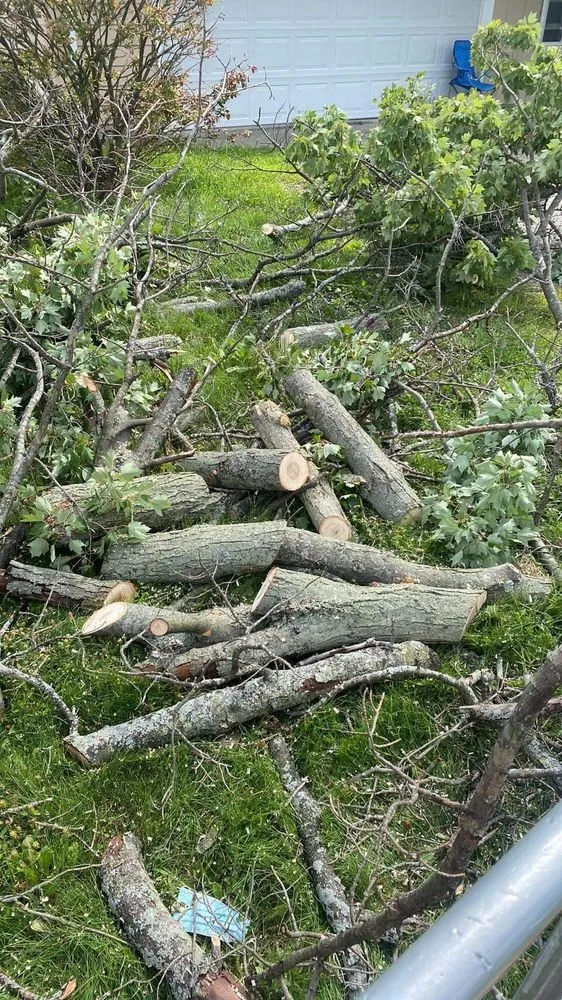 Professional garden landscaping in Fort Wayne, IN by Making The Cut