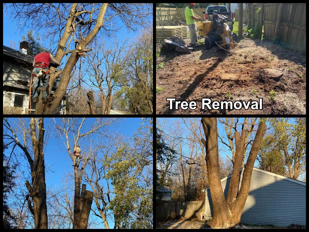 Local landscaping services experts serving Fort Wayne, IN - Making The Cut